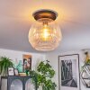 Ripoll Plafondlamp, Kogellampje Duidelijk, 1-licht
