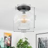 Ripoll Plafondlamp, Kogellampje Duidelijk, 1-licht