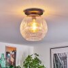 Ripoll Plafondlamp, Kogellampje Duidelijk, 1-licht