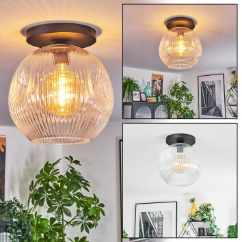 Ripoll Plafondlamp, Kogellampje Duidelijk, 1-licht