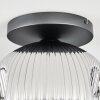 Ripoll Plafondlamp, Kogellampje Chroom, Duidelijk, Rookkleurig, 1-licht