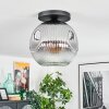 Ripoll Plafondlamp, Kogellampje Duidelijk, Rookkleurig, 1-licht