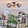 Gastor Plafondlamp, Kogellampje Amber, Duidelijk, Rookkleurig, 3-lichts