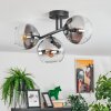 Koyoto Plafondlamp, Kogellampje Duidelijk, Rookkleurig, 3-lichts