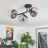 Koyoto Plafondlamp, Kogellampje Duidelijk, Rookkleurig, 3-lichts