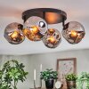 Ripoll Plafondlamp, Kogellampje Chroom, Rookkleurig, 4-lichts