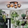 Ripoll Plafondlamp, Kogellampje Chroom, Rookkleurig, 4-lichts