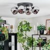 Ripoll Plafondlamp, Kogellampje Chroom, Rookkleurig, 4-lichts