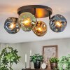 Ripoll Plafondlamp, Kogellampje Blauw, Goud, Groen, 4-lichts