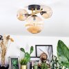 Chehalis Plafondlamp, Kogellampje Goud, Zwart, 3-lichts
