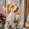 Fallhagen Wandlamp, Muurspot Chroom, Hout licht, 1-licht