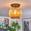 Ripoll Plafondlamp, Kogellampje Amber, 1-licht