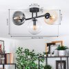 Gastor Plafondlamp, Kogellampje Amber, Duidelijk, Rookkleurig, 3-lichts