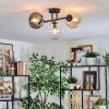 Gastor Plafondlamp, Kogellampje Amber, Duidelijk, Rookkleurig, 3-lichts