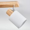 Fallhagen Plafondlamp, Plafondspot Chroom, Hout licht, 4-lichts