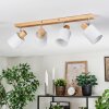 Fallhagen Plafondlamp, Plafondspot Chroom, Hout licht, 4-lichts