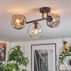 Ripoll Plafondlamp, Kogellampje Amber, Duidelijk, Rookkleurig, 3-lichts