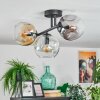 Ripoll Plafondlamp, Kogellampje Amber, Duidelijk, Rookkleurig, 3-lichts