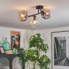 Ripoll Plafondlamp, Kogellampje Amber, Duidelijk, Rookkleurig, 3-lichts
