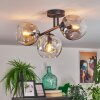 Ripoll Plafondlamp, Kogellampje Amber, Duidelijk, Rookkleurig, 3-lichts