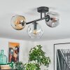 Ripoll Plafondlamp, Kogellampje Amber, Duidelijk, Rookkleurig, 3-lichts