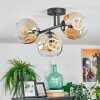 Ripoll Plafondlamp, Kogellampje Amber, Duidelijk, 3-lichts