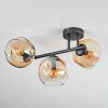 Ripoll Plafondlamp, Kogellampje Amber, Duidelijk, 3-lichts