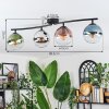 Gastor Plafondlamp, Kogellampje Blauw, Chroom, Groen, Duidelijk, Koperkleurig, Rookkleurig, 4-lichts