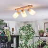 Fallhagen Plafondlamp, Plafondspot Chroom, Hout licht, 3-lichts