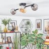 Chehalis Plafondlamp, Kogellampje Amber, Rookkleurig, 4-lichts