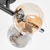 Chehalis Plafondlamp, Kogellampje Amber, Rookkleurig, 4-lichts