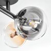 Chehalis Plafondlamp, Kogellampje Amber, Duidelijk, Rookkleurig, 4-lichts