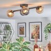 Chehalis Plafondlamp, Kogellampje Amber, Duidelijk, Rookkleurig, 4-lichts