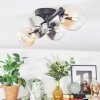 Chehalis Plafondlamp, Kogellampje Amber, Duidelijk, Rookkleurig, 4-lichts