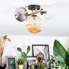 Chehalis Plafondlamp, Kogellampje Goud, Zwart, 3-lichts
