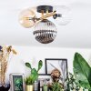 Chehalis Plafondlamp, Kogellampje Goud, Zwart, 3-lichts