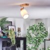 Fallhagen Plafondlamp, Plafondspot Chroom, Hout licht, 1-licht