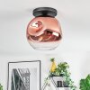 Ripoll Plafondlamp, Kogellampje Duidelijk, Koperkleurig, 1-licht