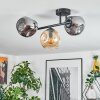 Ripoll Plafondlamp, Kogellampje Amber, Rookkleurig, 3-lichts