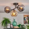 Ripoll Plafondlamp, Kogellampje Amber, Rookkleurig, 3-lichts