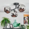 Ripoll Plafondlamp, Kogellampje Chroom, Rookkleurig, 3-lichts
