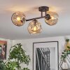 Ripoll Plafondlamp, Kogellampje Amber, 3-lichts