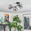 Ripoll Plafondlamp, Kogellampje Duidelijk, Rookkleurig, 3-lichts