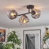 Ripoll Plafondlamp, Kogellampje Duidelijk, Rookkleurig, 3-lichts