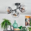 Ripoll Plafondlamp, Kogellampje Duidelijk, Rookkleurig, 3-lichts