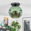 Ripoll Plafondlamp, Kogellampje Groen, 1-licht