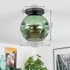 Ripoll Plafondlamp, Kogellampje Groen, 1-licht