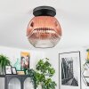 Ripoll Plafondlamp, Kogellampje Duidelijk, Koperkleurig, 1-licht