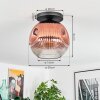 Ripoll Plafondlamp, Kogellampje Duidelijk, Koperkleurig, 1-licht