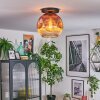 Ripoll Plafondlamp, Kogellampje Duidelijk, Koperkleurig, 1-licht
